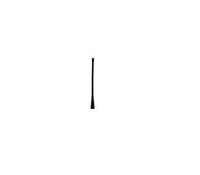 imageHighRes1