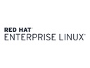 Lenovo Red Hat Enterprise Linux for Virtual Datacenters - Premium-Abonnement (1 Jahr)