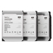 Synology HAS5300 - Festplatte - 12 TB - intern - 3.5" (8.9 cm)