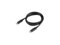 Lenovo USB-Kabel - 24 pin USB-C (M) zu 24 pin USB-C (M)