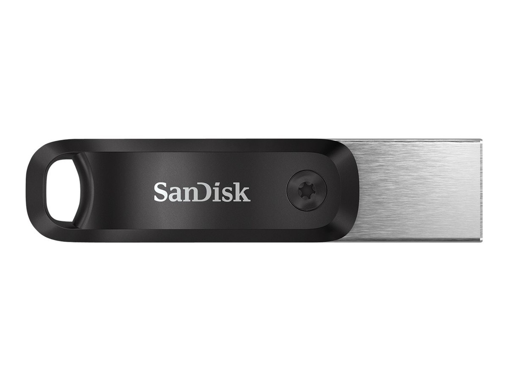 SanDisk iXpand Go - USB-Flash-Laufwerk - 256