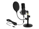 Delock Professional USB Condenser Microphone