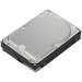 Lenovo Festplatte - 10 TB - intern - 3.5" (8.9 cm)