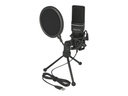 Delock USB Condenser Microphone Set for Podcasting