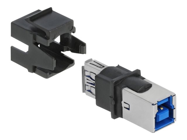 Delock Modulare Eingabe - USB 3.0 Type A