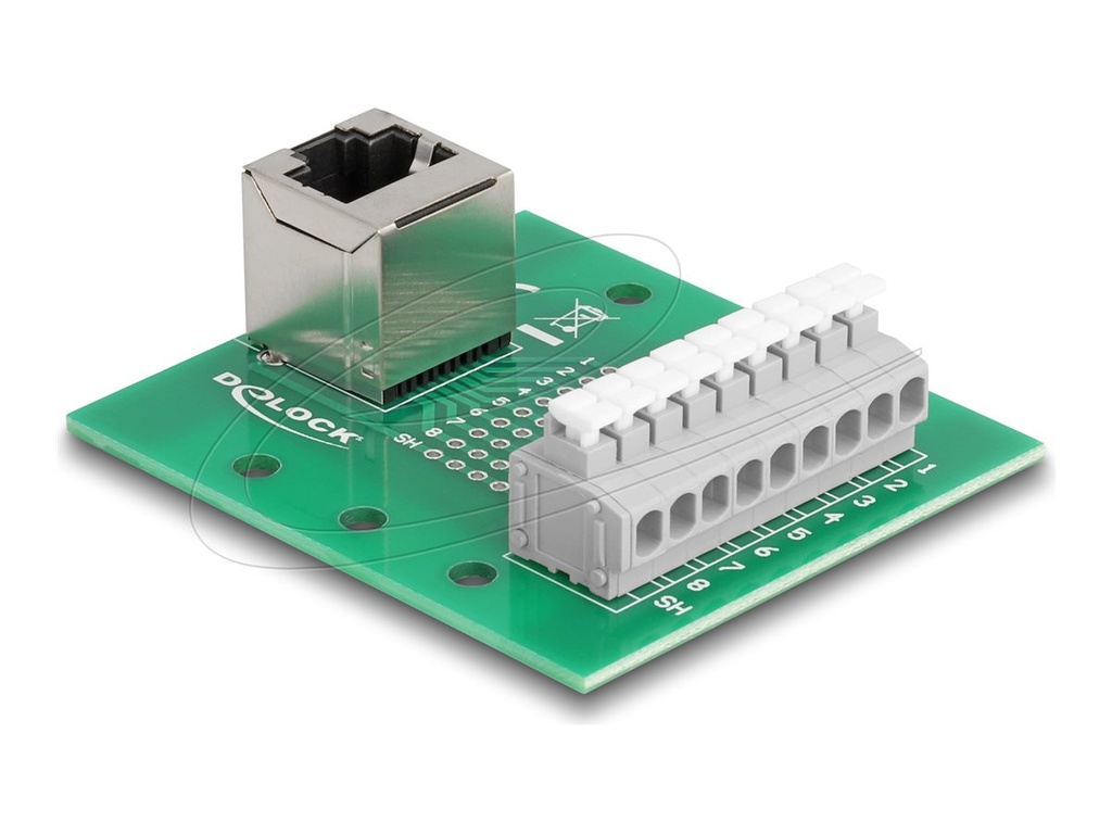Delock Netzwerkadapter - RJ-45 (W) gewinkelt