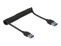Delock USB 3.0 Coiled Cable Type-A male to Type-A