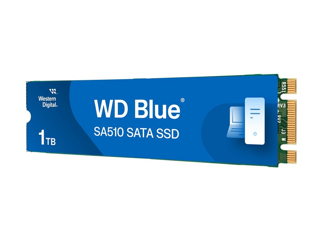 WD Blue SA510 WDS100T3B0B-00AXS0 - SSD - 1 TB