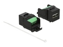 Delock Modulare Eingabe - USB 2.0 Type A