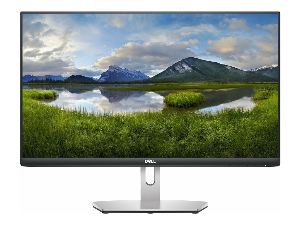 Dell S2421HN - LED-Monitor - 60.45 cm (24") - 1920 x 1080 Full HD (1080p)