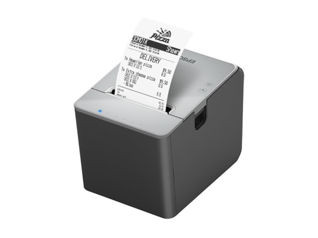 Epson TM L100 (103) - Belegdrucker - Thermozeile - Rolle (7,95 cm)