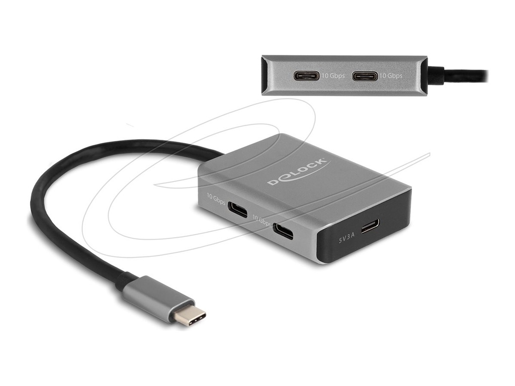 Delock Hub - 10 Gbps, mit USB-C-Anschluss - 4 x USB-C 3.2 Gen 2