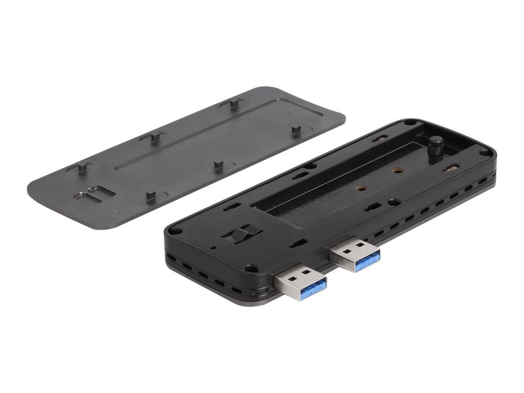 Delock Speichergehäuse - M.2 - NVMe PCIe - PCIe, SATA, USB 3.2 (Gen 2)