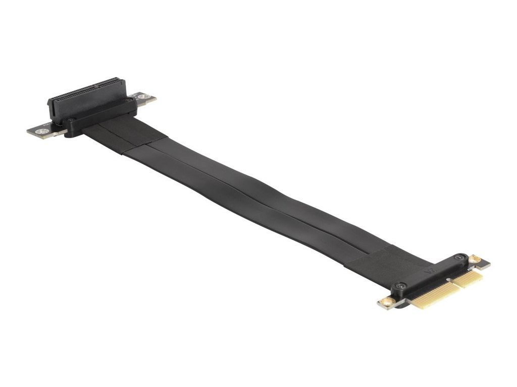 Delock Riser Card