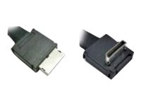 Intel OCuLink Cable Kit AXXCBL800CVCR - Internes SAS-Kabel - 4i MiniLink SAS (SFF-8611)