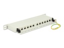 Delock Patch Panel - CAT 6a - RJ-45 X 12 - Hellgrau, RAL 7035 - 0.5U - 25.4 cm (10")