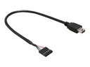Delock USB 2.0 Pin Header - Interner und externer USB-Adapter - Mini-USB, Typ B (M)