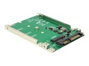 Delock Converter 22 pin > M.2 NGFF - Speicher-Controller