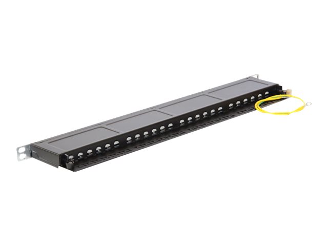 Delock Patch Panel - RJ-45 X 24 - Jet Black, RAL 9005 - 0.5U - 48.3 cm (19")