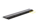 Delock Patch Panel - RJ-45 X 24 - Jet Black, RAL 9005 - 0.5U - 48.3 cm (19")