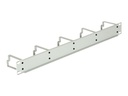 Delock Kabelmanagement - Hellgrau, RAL 7035 - 1U - 48.3 cm (19")