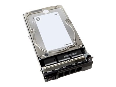 Dell  Festplatte - 4 TB - Hot-Swap - 3.5" (8.9 cm)