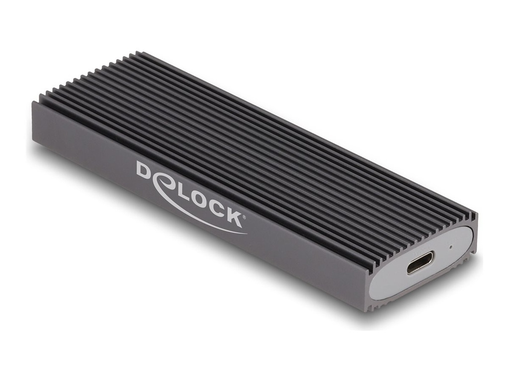 [42019] Delock Speichergehäuse - M.2 - M.2 Card (PCIe NVMe & SATA)