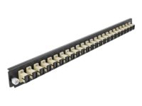Delock Rack-Montageblech für Glasfaser-Spleißbox - Vorderseite - SC MM X 24 - beige - 1U - 48.3 cm (19")