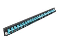 Delock Rack-Montageblech für Glasfaser-Spleißbox - Vorderseite - SC MM X 24 - Aquamarin - 1U - 48.3 cm (19")