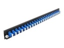Delock Rack-Montageblech für Glasfaser-Spleißbox - Vorderseite - LC SM X 24 - Blau - 1U - 48.3 cm (19")