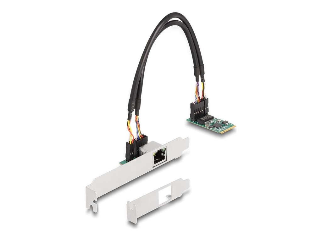 Delock Netzwerkadapter - M.2 2242 Low-Profile
