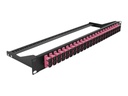 Delock Patch Panel - Rack montierbar - SC Duplex MM X 24 - Schwarz, violett - 1U - 48.3 cm (19")