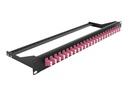 Delock Patch Panel - Rack montierbar - LC Duplex MM X 24 - Schwarz, violett - 1U - 48.3 cm (19")