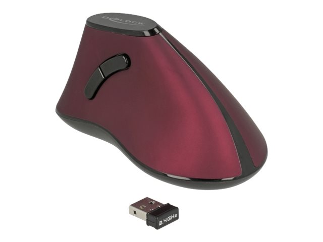 Delock Vertikale Maus - ergonomisch - Für Rechtshänder - optisch - 5 Tasten - kabellos - 2.4 GHz - kabelloser Empfänger (USB)