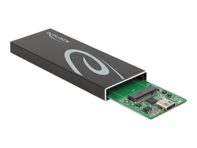 [42003] Delock Speichergehäuse - M.2 - M.2 Card / SATA 6Gb/s - USB 3.2 (Gen 2)
