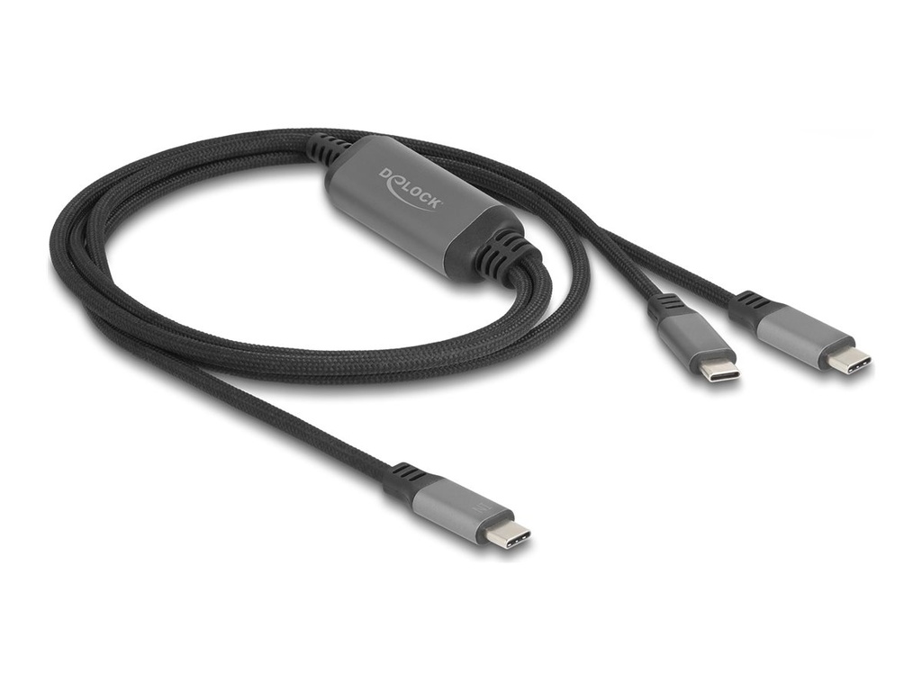 Delock USB-Kabel - USB-C (M) zu USB-C (M)