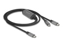 Delock USB-Kabel - USB-C (M) zu USB-C (M)