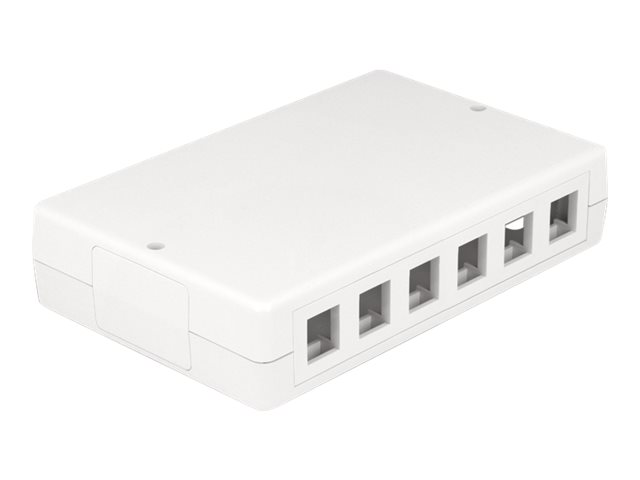[86172] Delock Installationskasten Netzwerkoberfläche