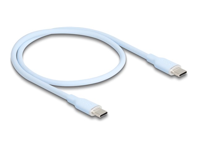 Delock USB-Kabel - USB-C (M) zu USB-C (M)