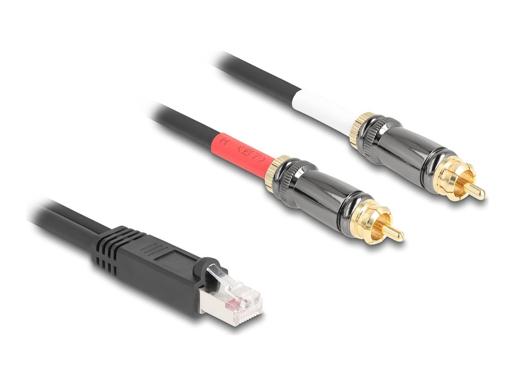 Delock Audio-Adapter - RJ-45 männlich zu RCA männlich