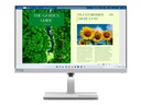 Lenovo L24m-40 - LED-Monitor - 61 cm (24") (24" sichtbar)