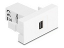 Delock Easy 45 - Einrastmodul - to mini DisplayPort
