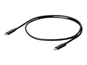 EIZO USB-Kabel - 24 pin USB-C (M) zu 24 pin USB-C (M)