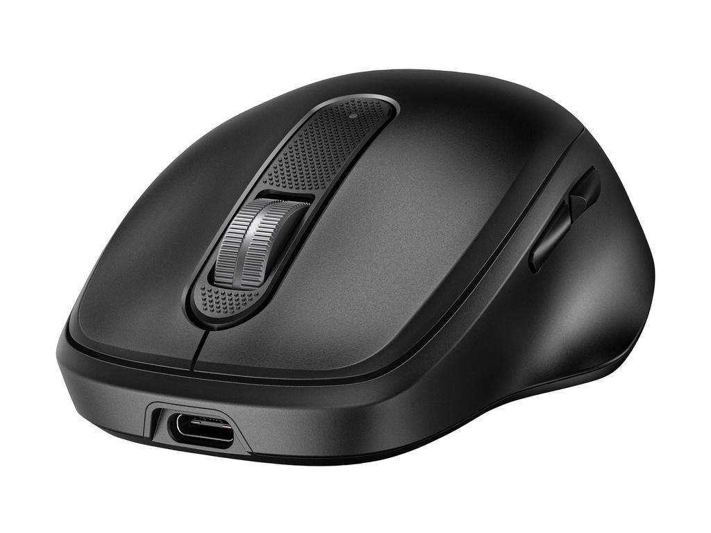 HP 515 - Maus - Vollgröße, superschnell aufladbar - 5 Tasten - kabellos - 2.4 GHz - kabelloser Empfänger (USB)