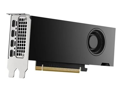 Dell NVIDIA RTX 2000 Ada Generation - Grafikkarten