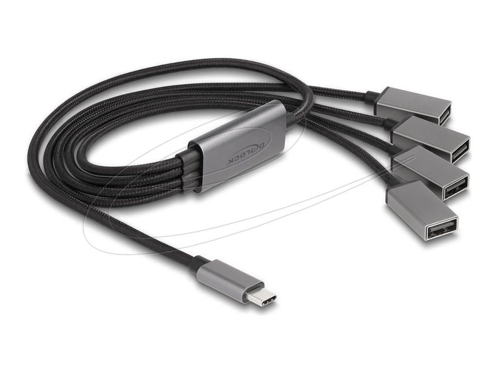 [64210] Delock Hub - 4 x USB 2.0 - Desktop