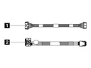 Lenovo Speicherkabelkit - für M.2 SATA/x4 Chassis