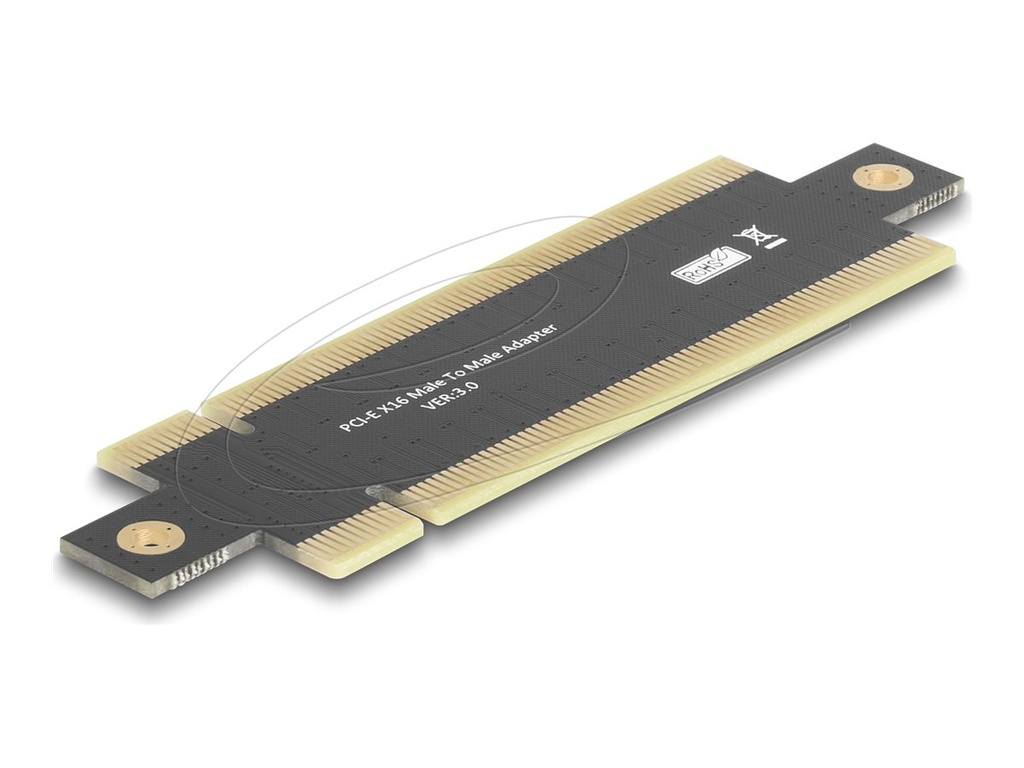 Delock Riser Card