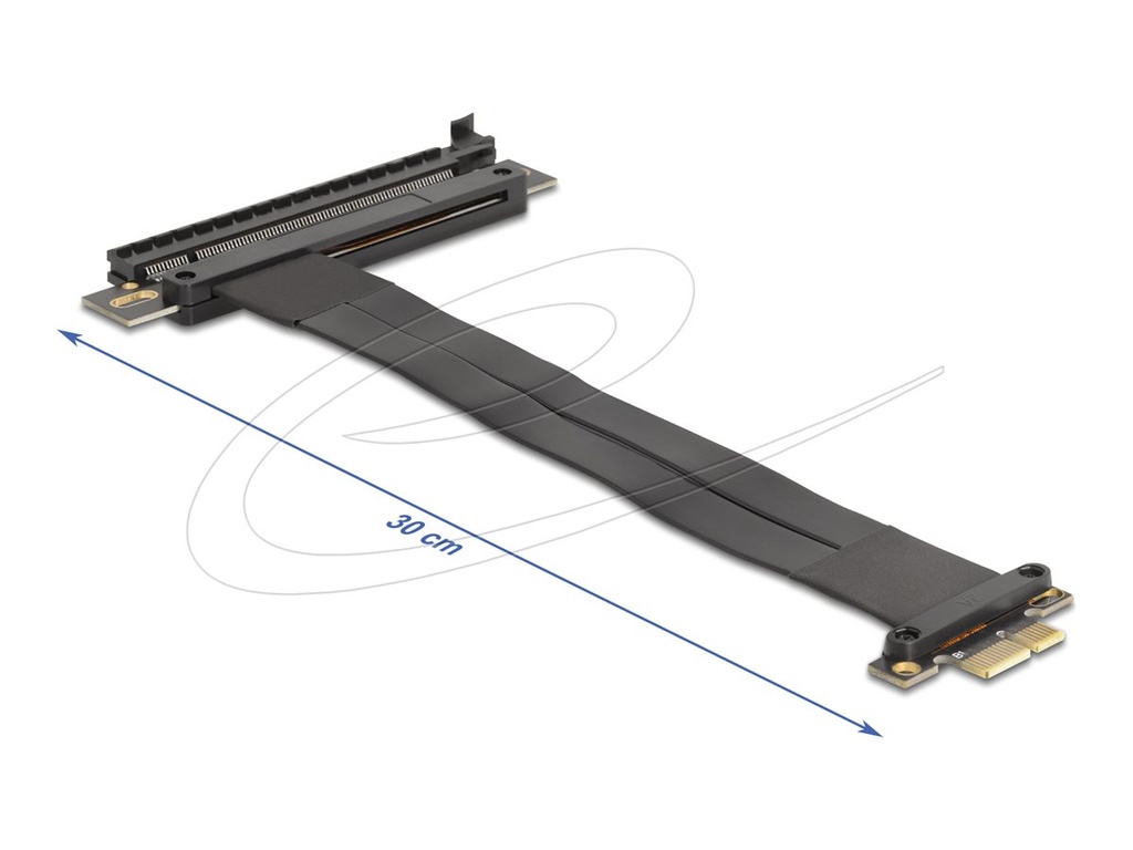 Delock Riser Card