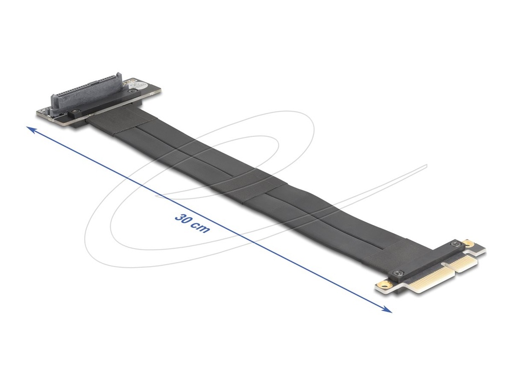 Delock Riser Card